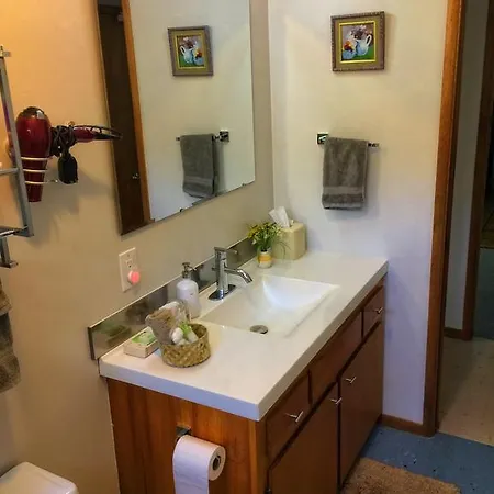 Appartement Hale “Ha Ha” à Pahoa Extérieur photo