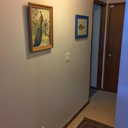 Appartement Hale “Ha Ha” à Pahoa Extérieur photo