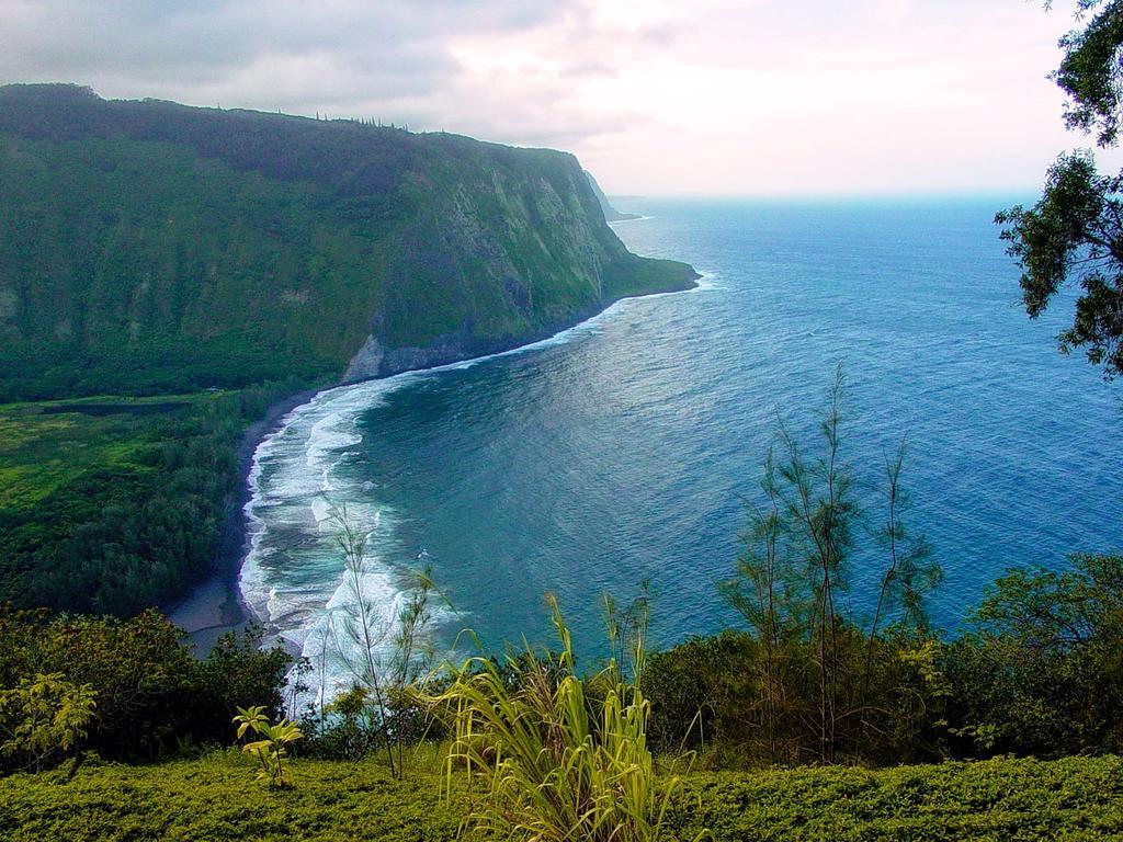 Hale “ha Ha” Pahoa